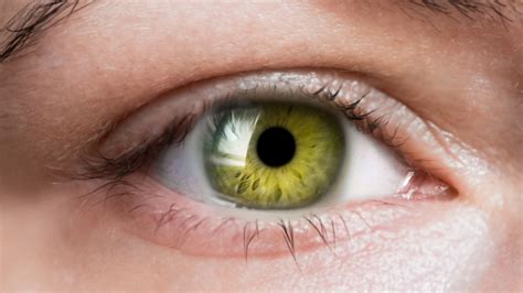 goddes green eyes|Superstition About Green Eyes: Exploring Cultural Beliefs.